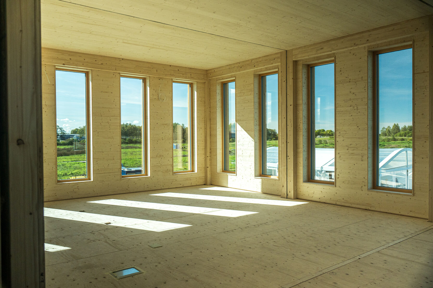 Sunlit CLT interior with tall windows