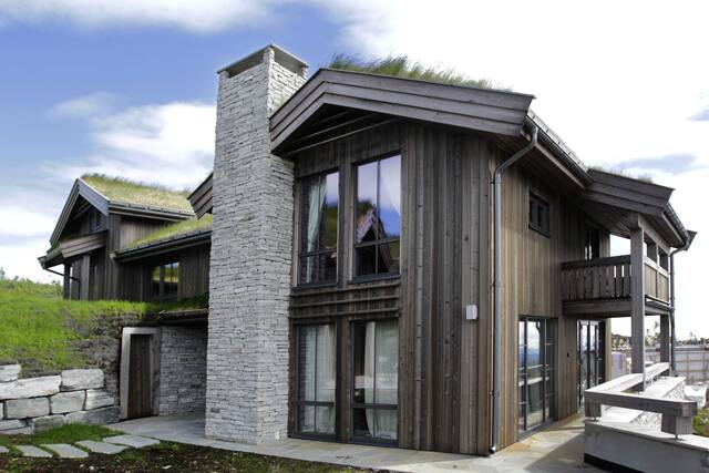 Holiday homes, Norefjell, Norway